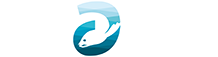 A Seal Zeehondenopvang Stellendam